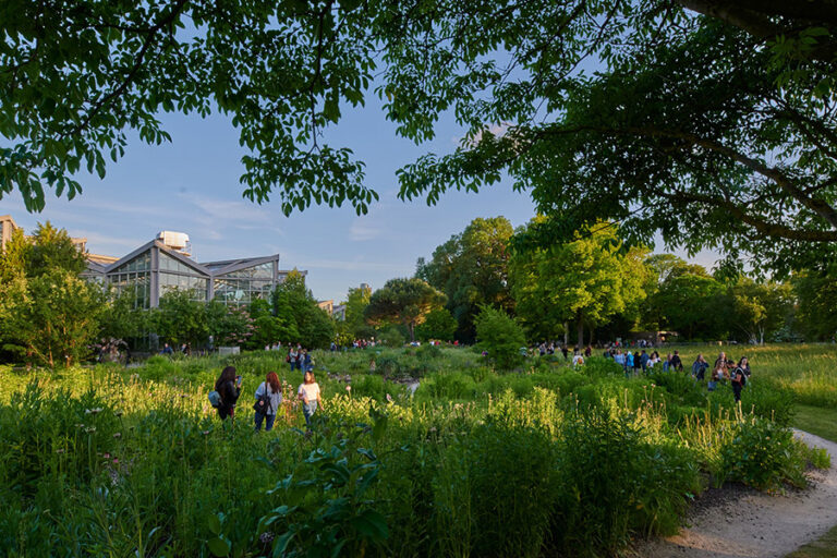 palmengarten